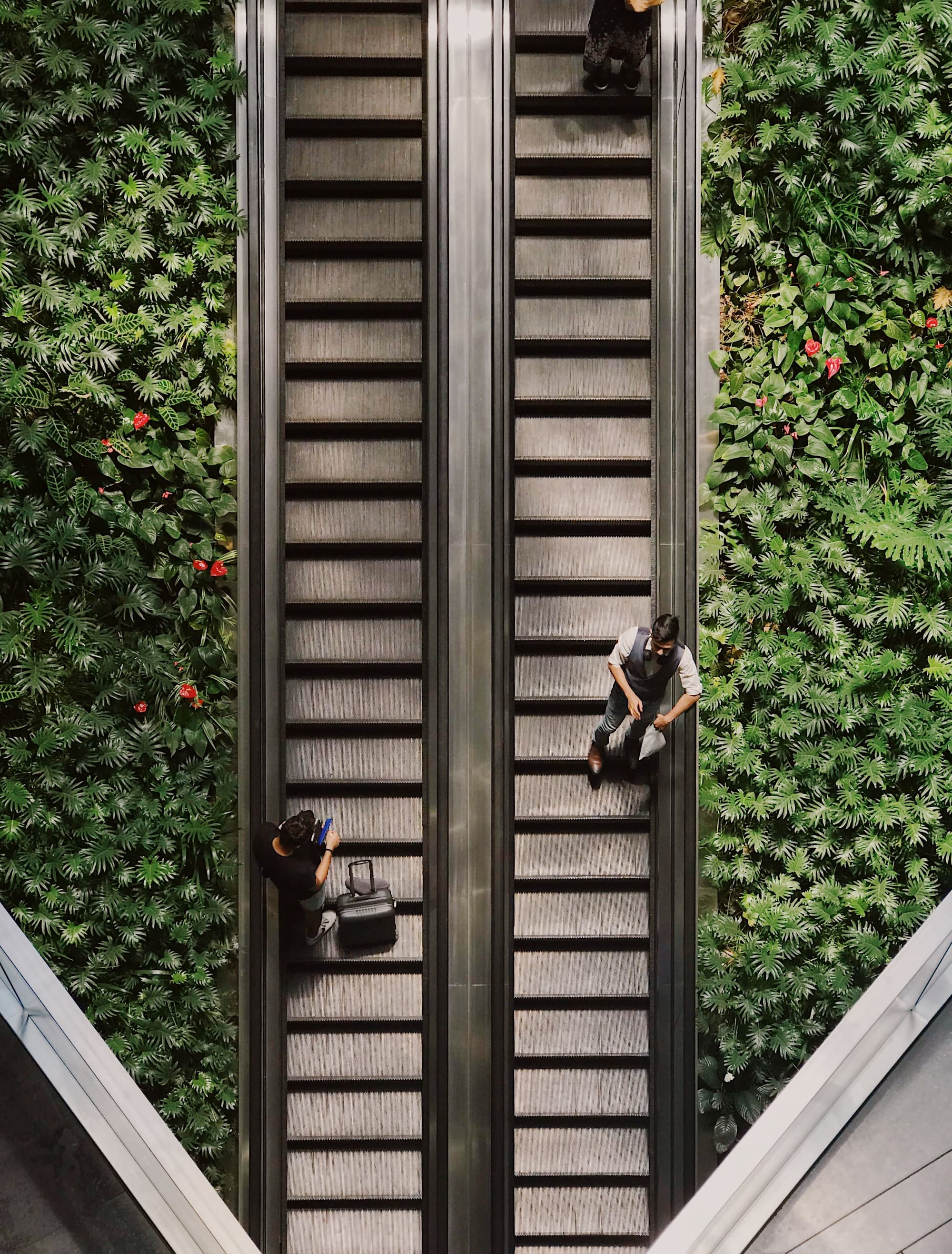 Green Oasis Amidst Skyscrapers: Landscape Design in Urban Spaces