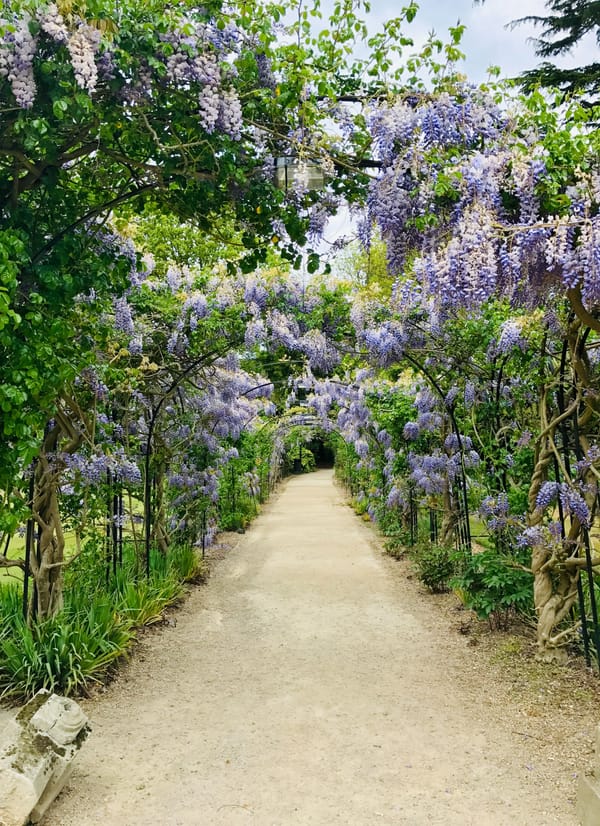 Best Landscape Gardens to Visit in England